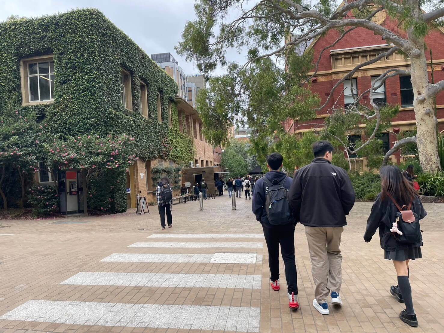 墨爾本大學校園步道上的學生