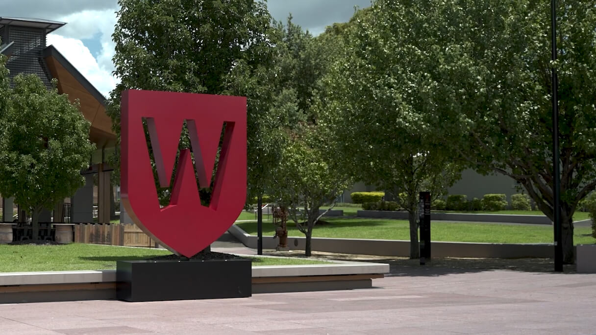 WSU