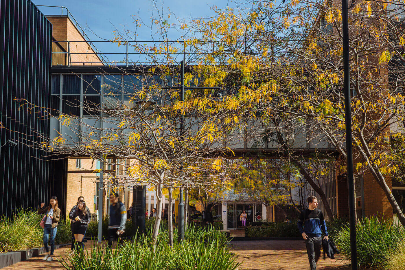 Monash university 2