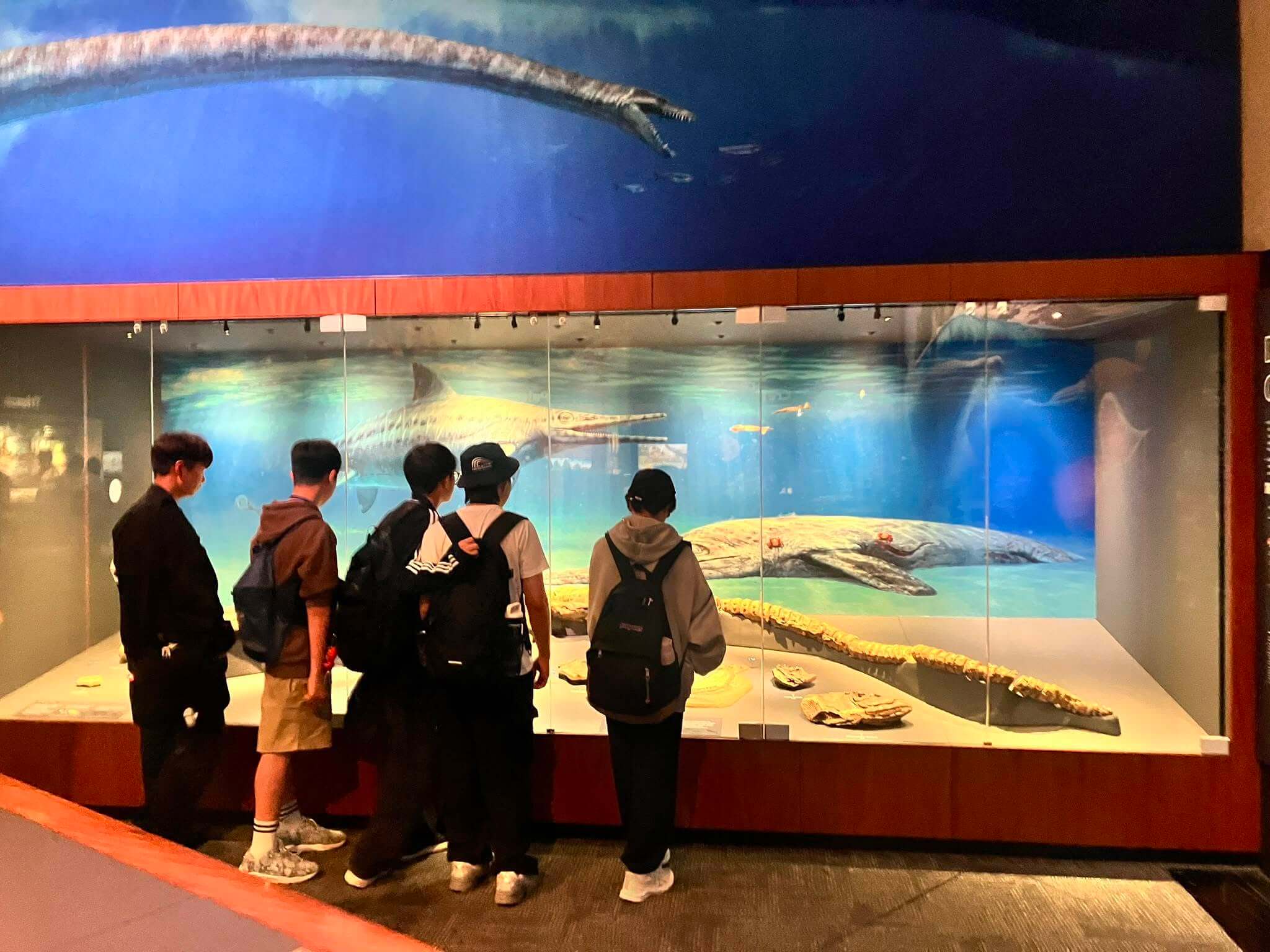 澳洲 Imagine Education 誼明教育遊學營博物館參訪：學生在主題課外活動中探索海洋與自然生態，體驗做中學英文。